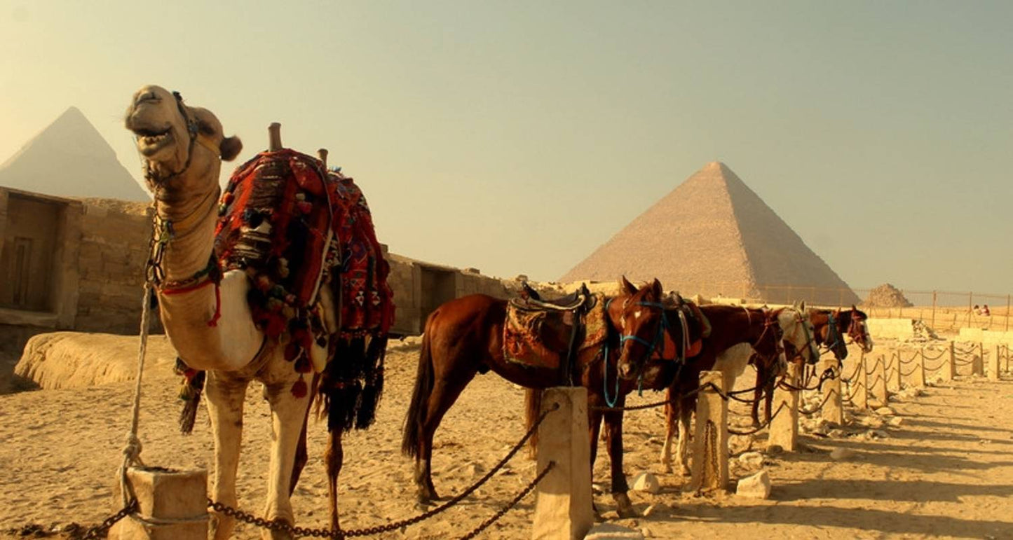 Best Of Egypt - 5* Cruise