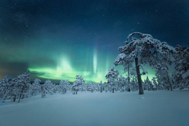 Rovaniemi Winter Experience