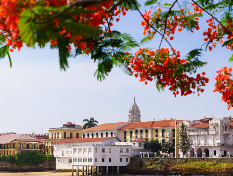 Panama: Wildlife, Waves, and Wilderness