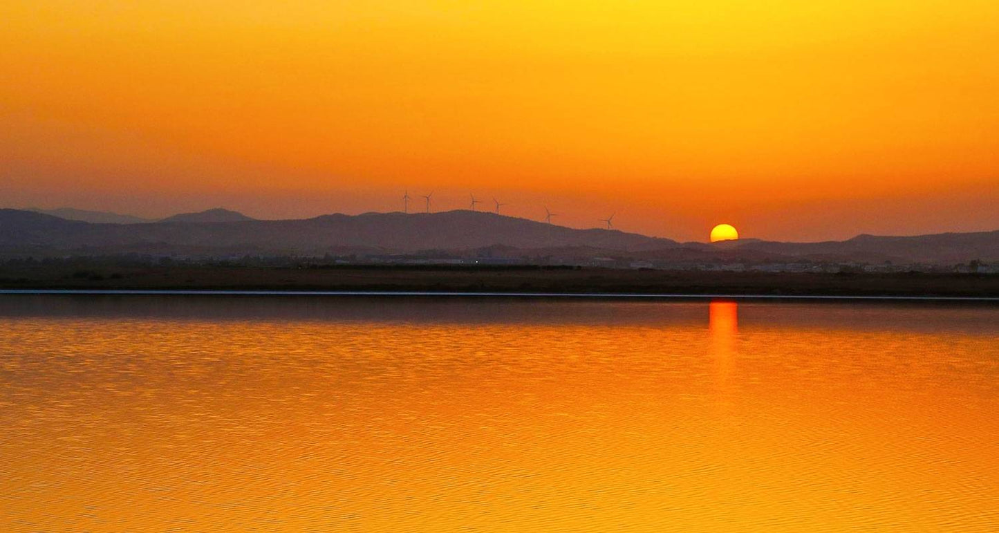 7-Day Private Customized Family Tour in Cyprus