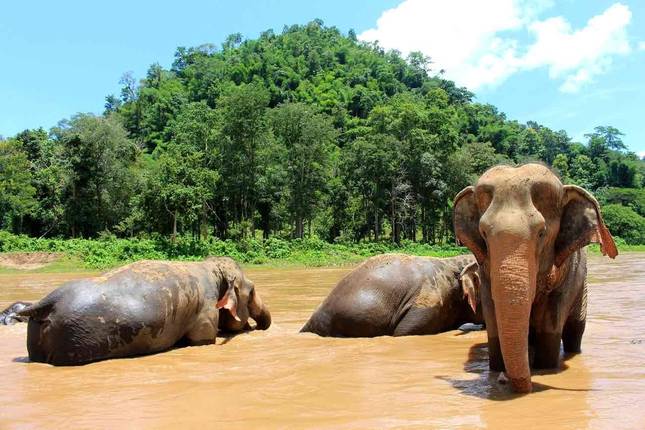 Thailand Unusual 8 days /7 nights
