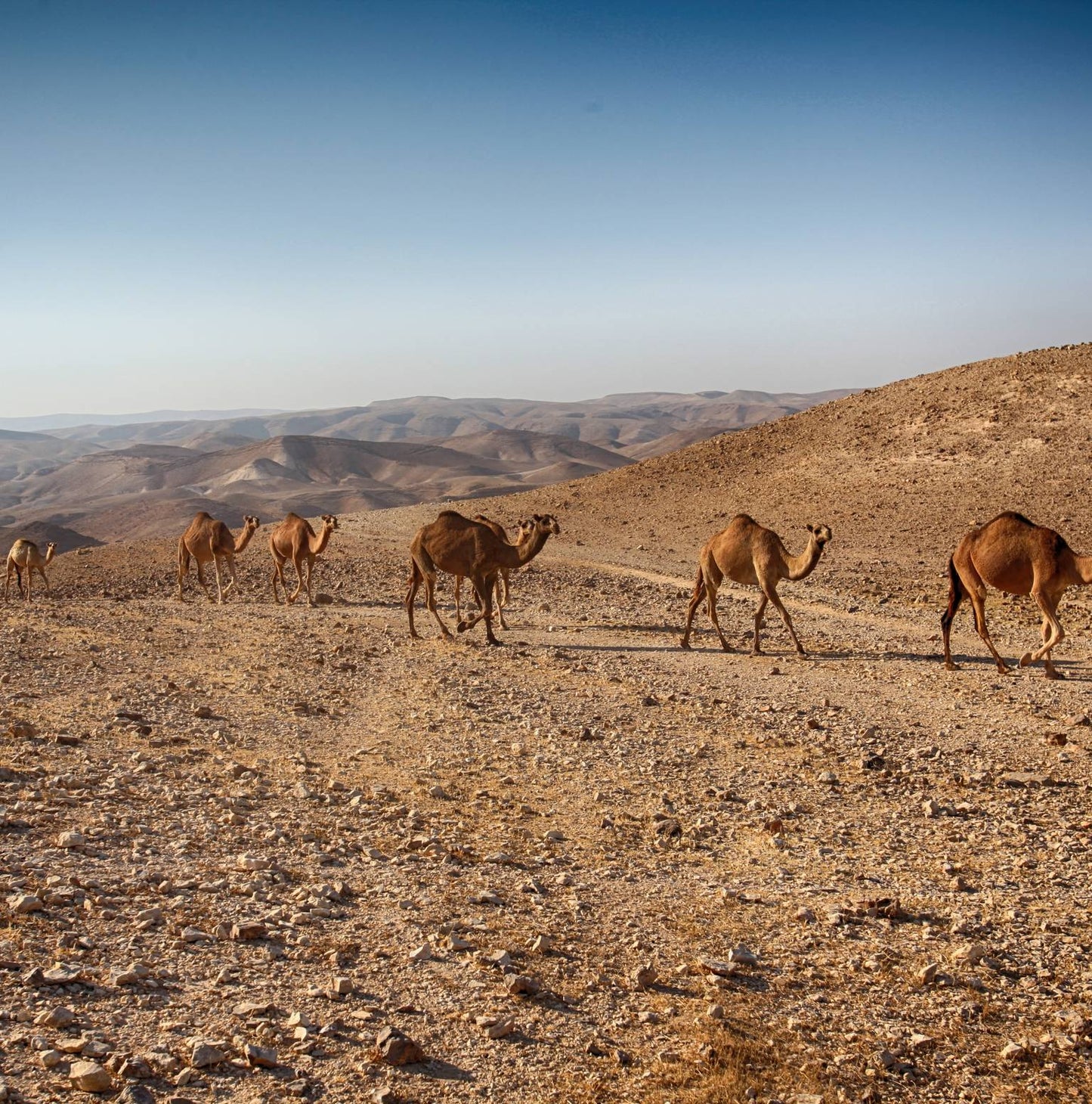 Journey Through the Holy Land with Jordan - Faith-Based Travel