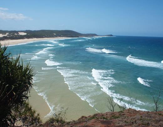 Australia: City to Surf