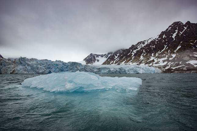 Quest for the Antarctic Circle