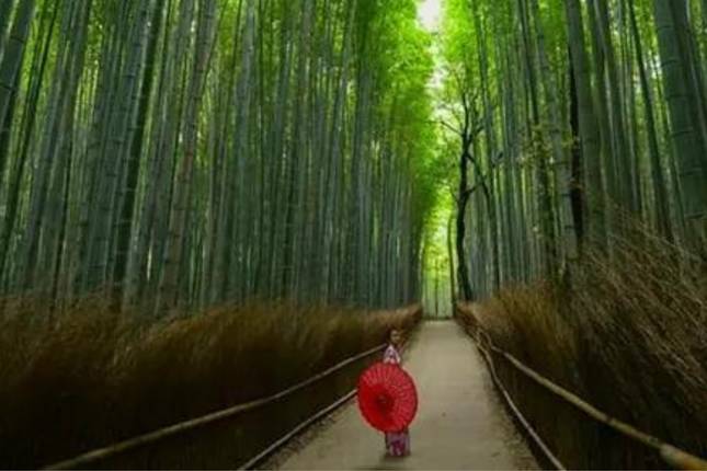 Best of Osaka, Kyoto and Hiroshima 6 Days