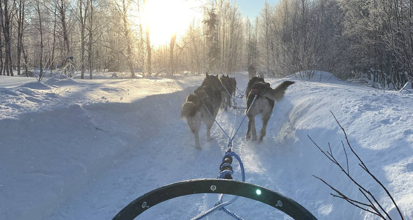 Journey to Finland's Winter Wonderland