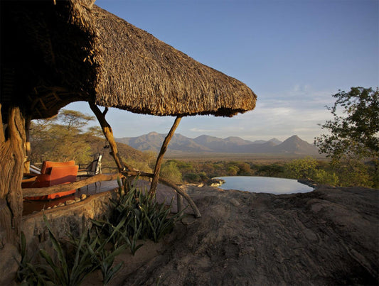 Kenya: Conservation, Community, and Climate Resilience Safari