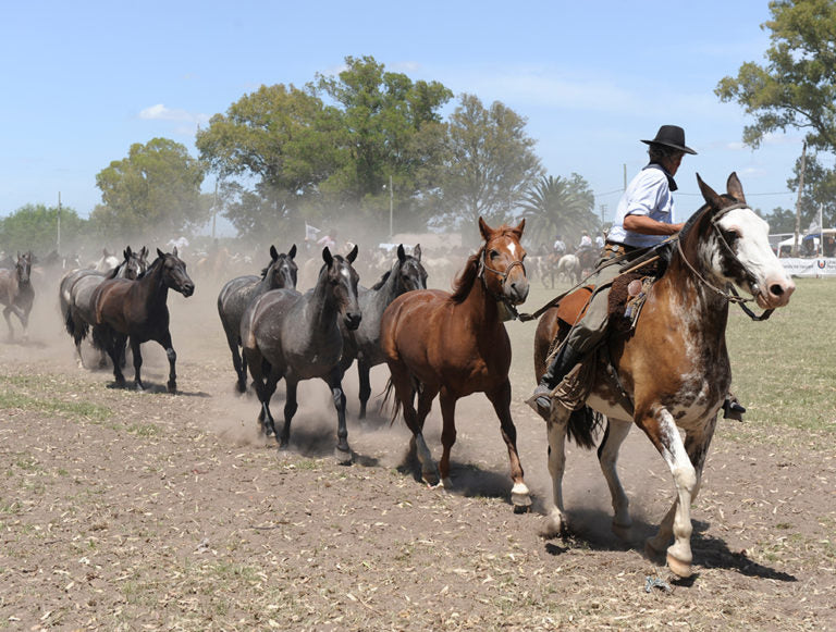 Argentina: Family Adventure