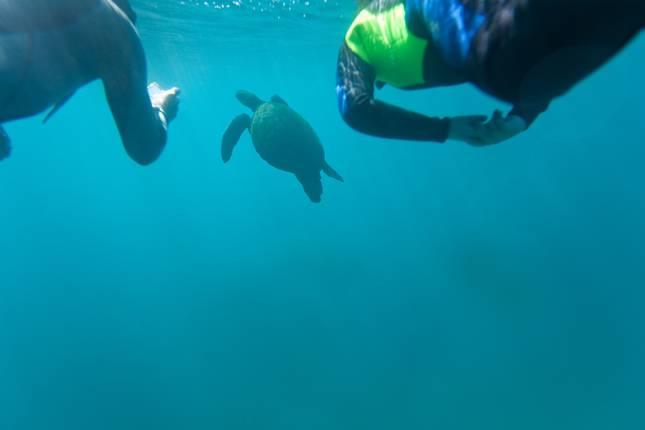 Galápagos Multisport