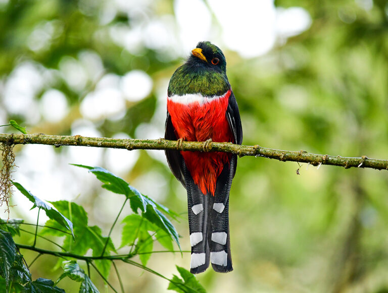 Ecuador: Family Digital Detox Adventure