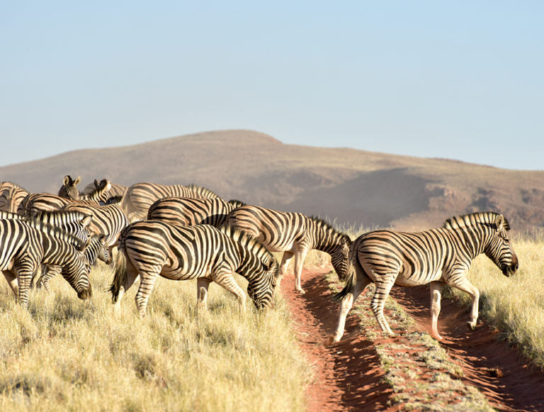 Namibia: Ultimate Honeymoon