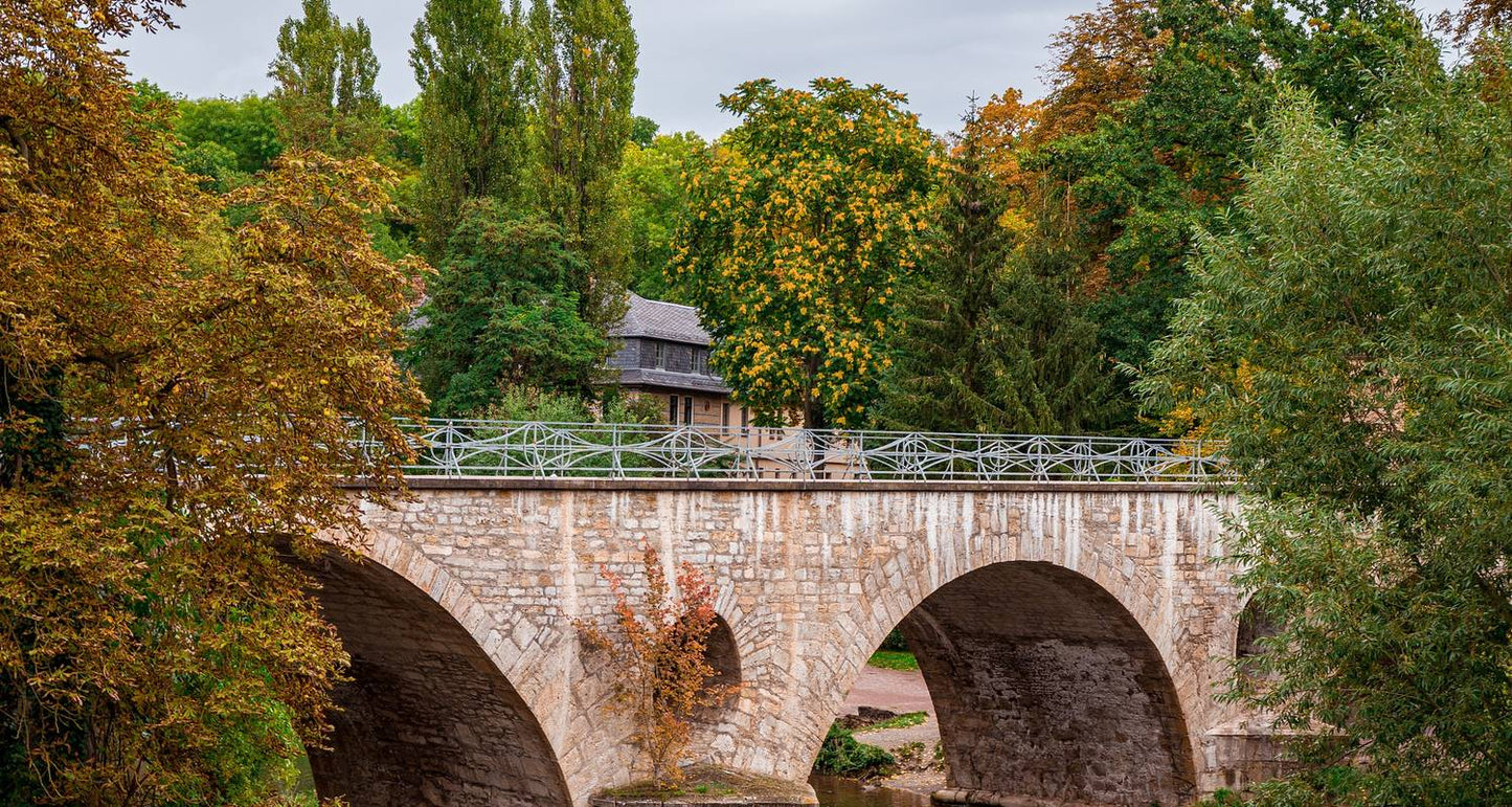 Best of Central Europe Tour