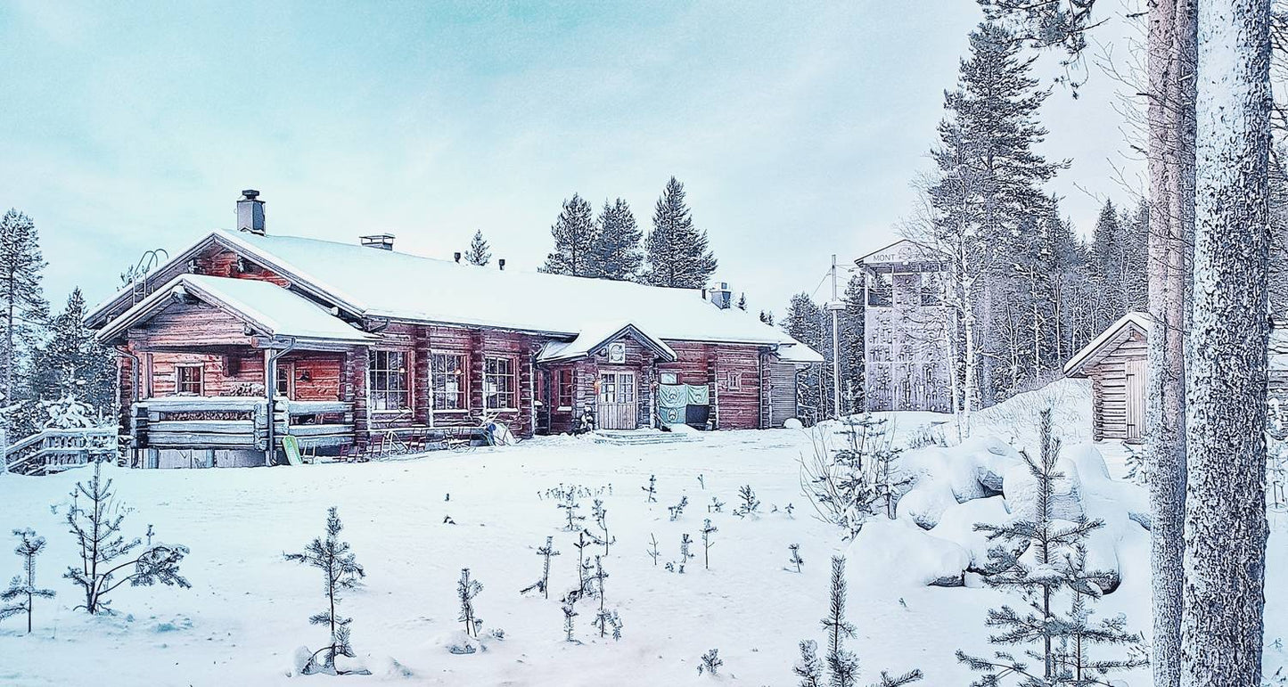 Journey to Finland's Winter Wonderland