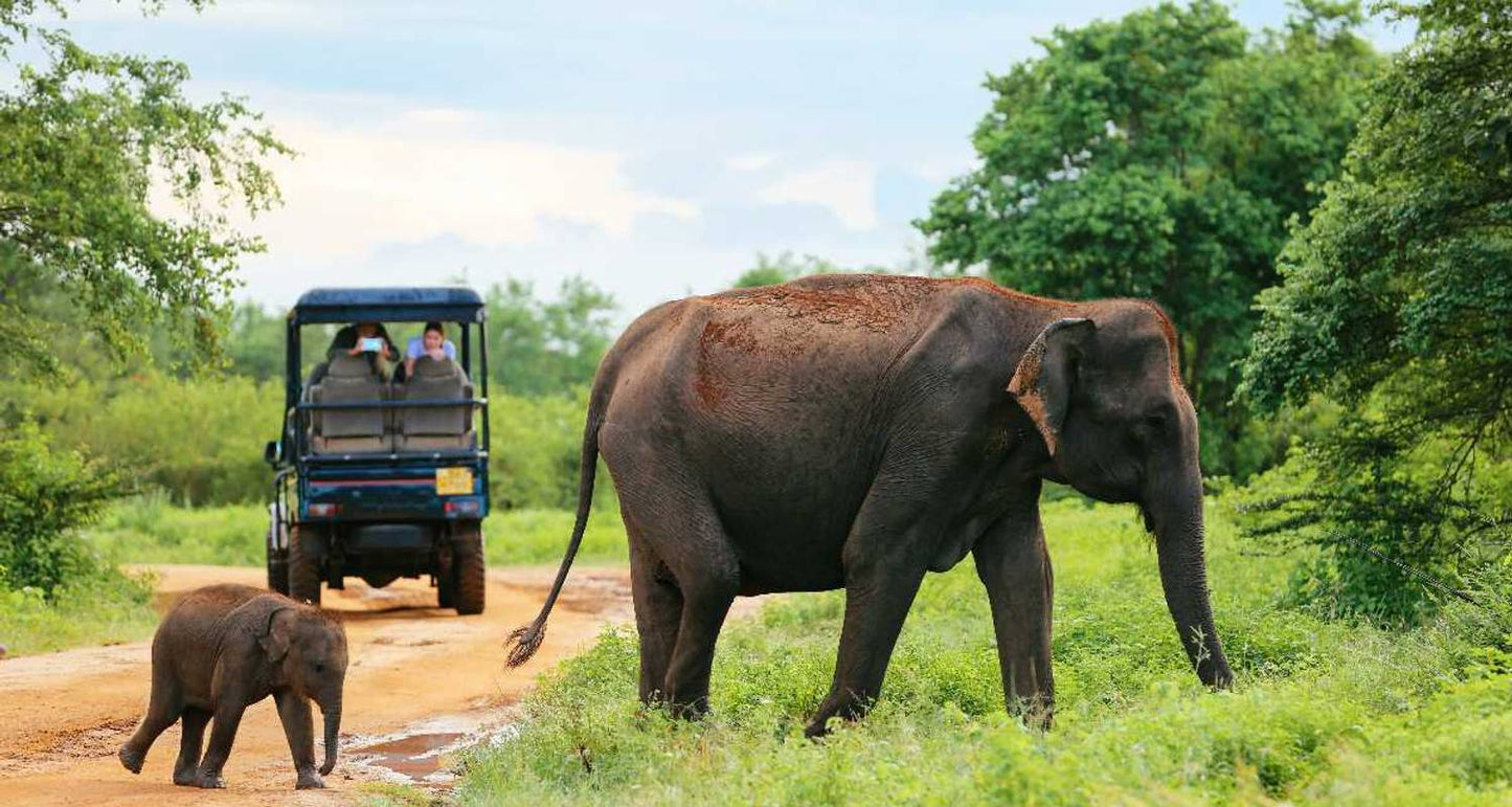 Discover Sri Lanka