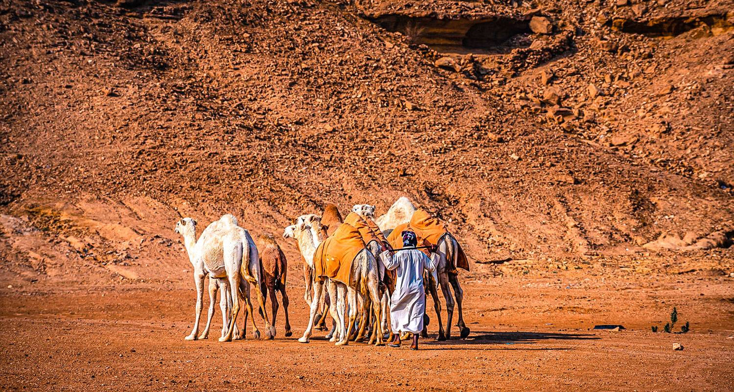 Tailor-made Family Vacations in Saudi Arabia