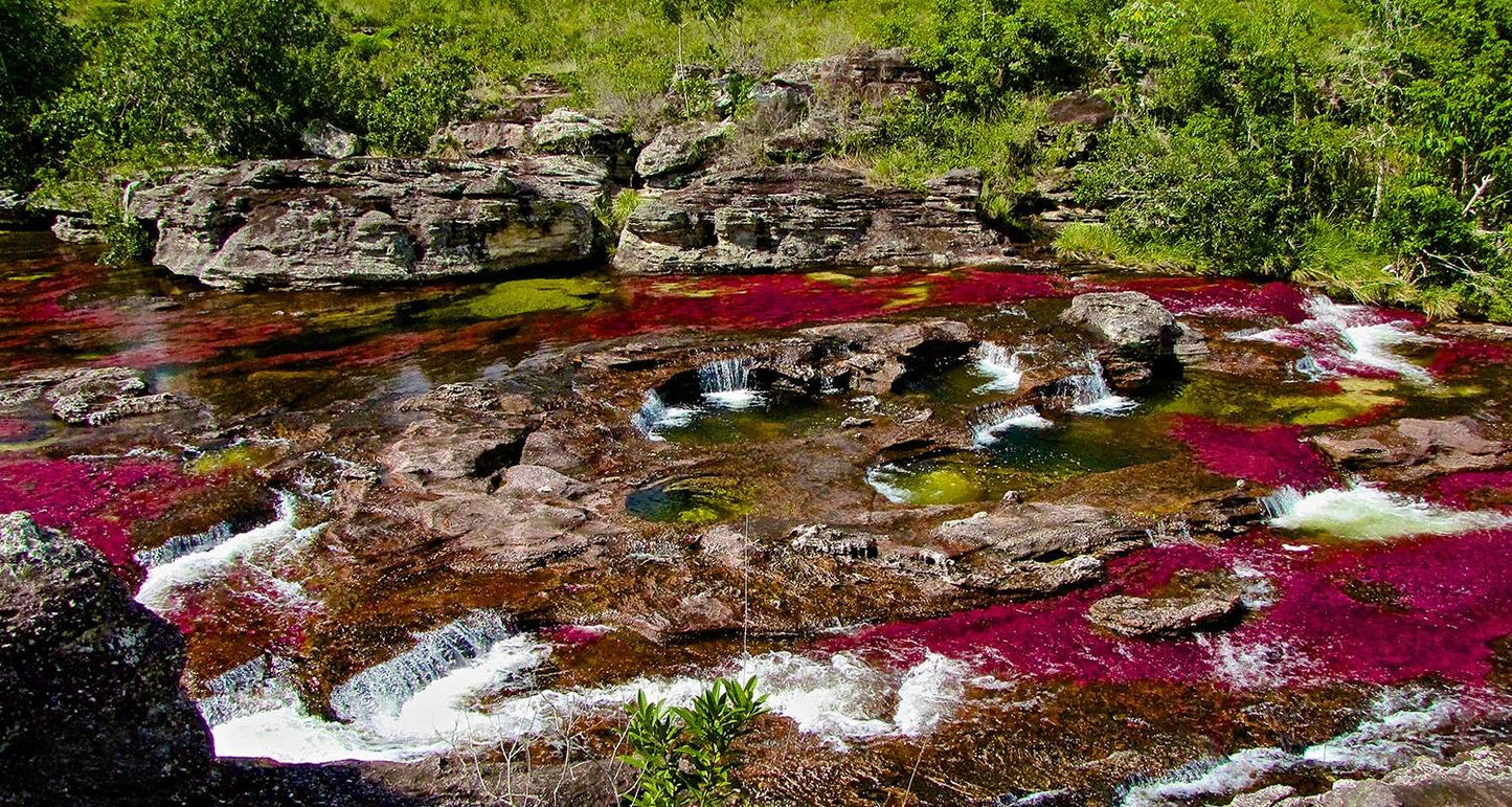 7 Days Rainbow Waters & City Lights - Colombia’s Wonders