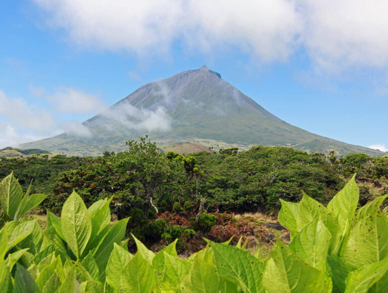 Azores: The Allure of the Archipelago