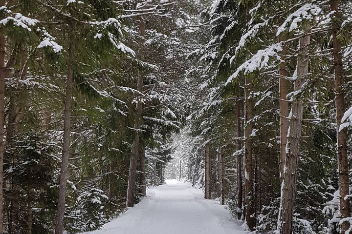 Cross-Country Skiing at Leutasch and Seefeld