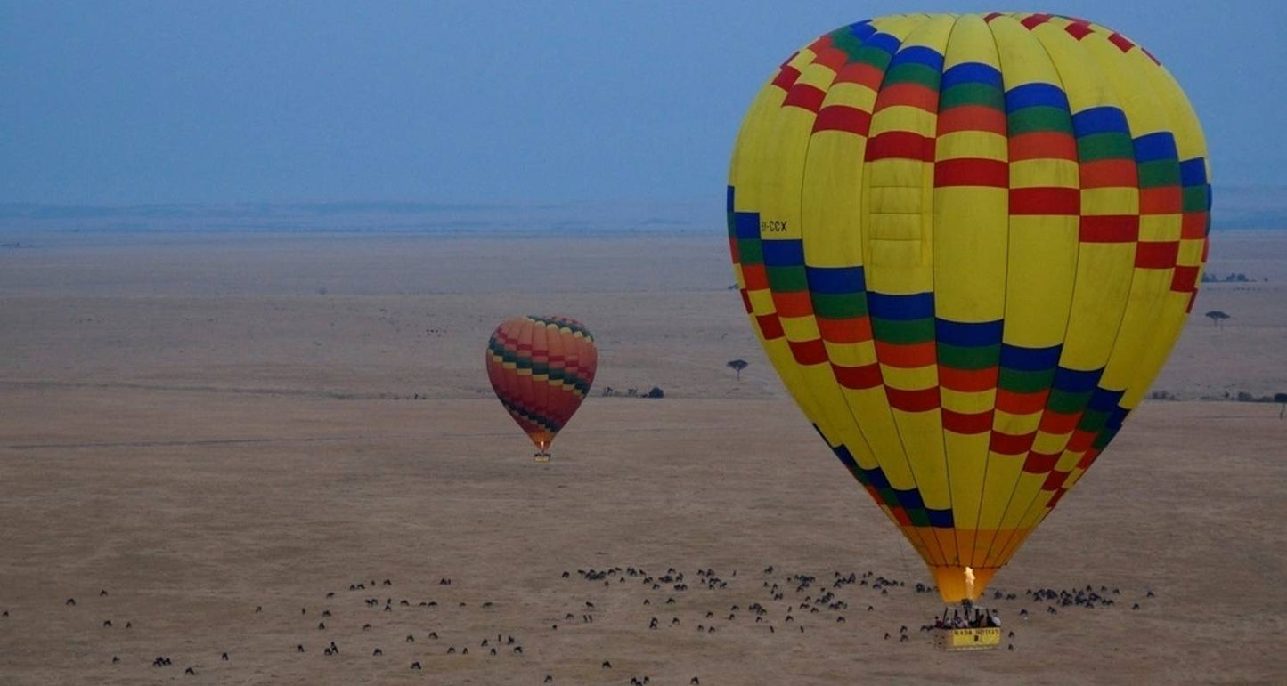Kenya's Wilderness: A 7-Day Safari Adventure