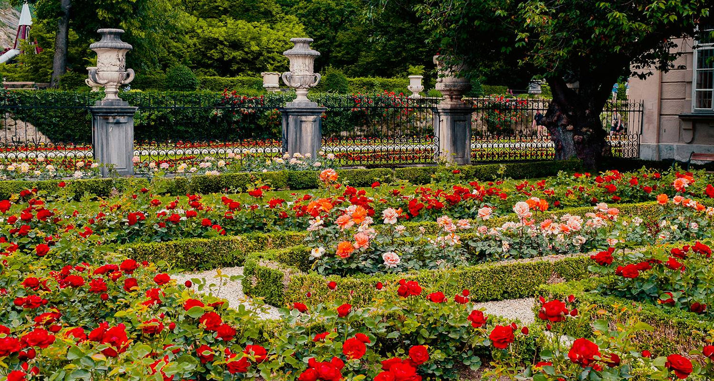 Salzburg, Vienna & Danube Valley - 8 days