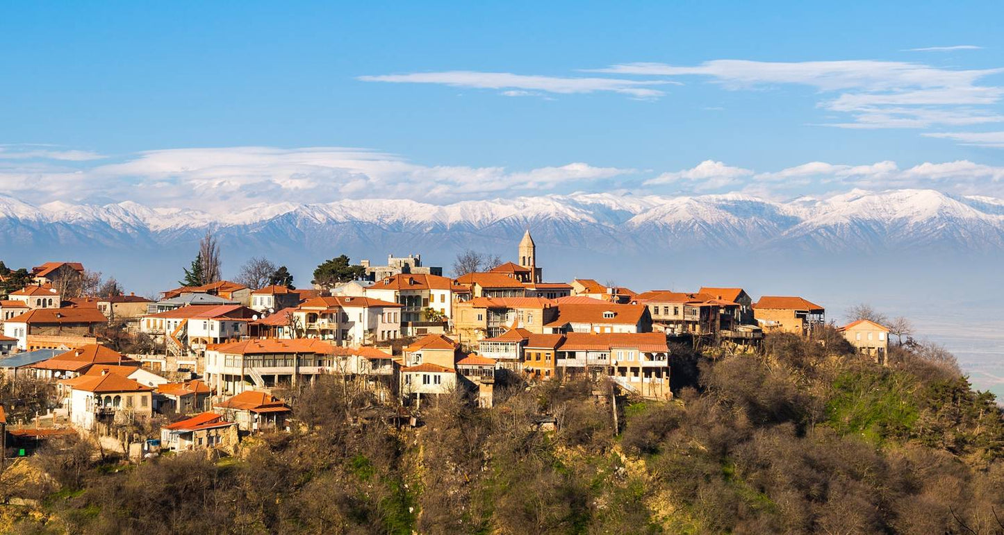 Georgia Private Tour with Driver-Guide