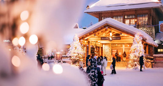 Rovaniemi Winter Experience