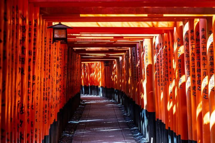 Highlights of Japan