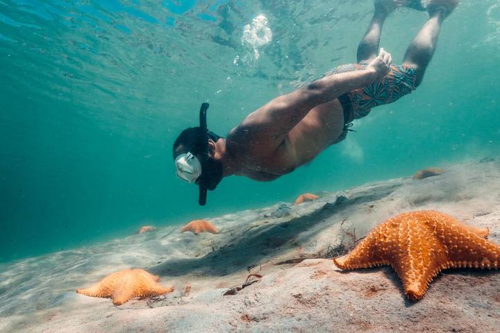 Panama Highlights: City, Highlands, and Island Escapes