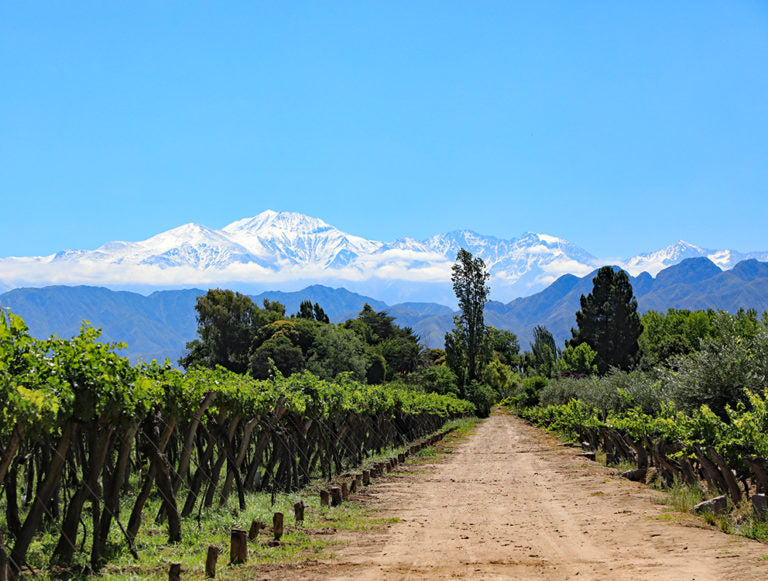 Argentina: Culture, Mountains, Nature, and Wine Country