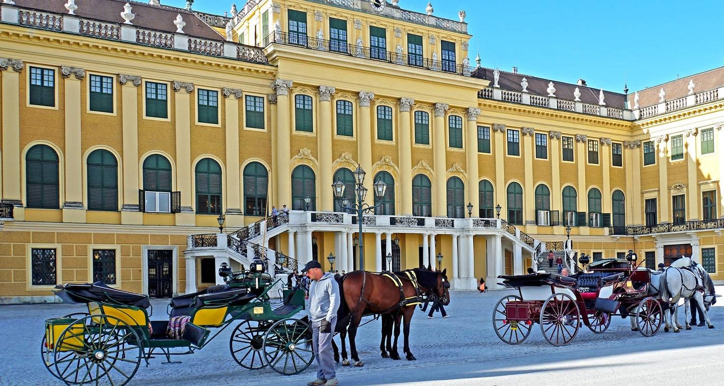 Private Tour of Vienna and Salzburg, Austria