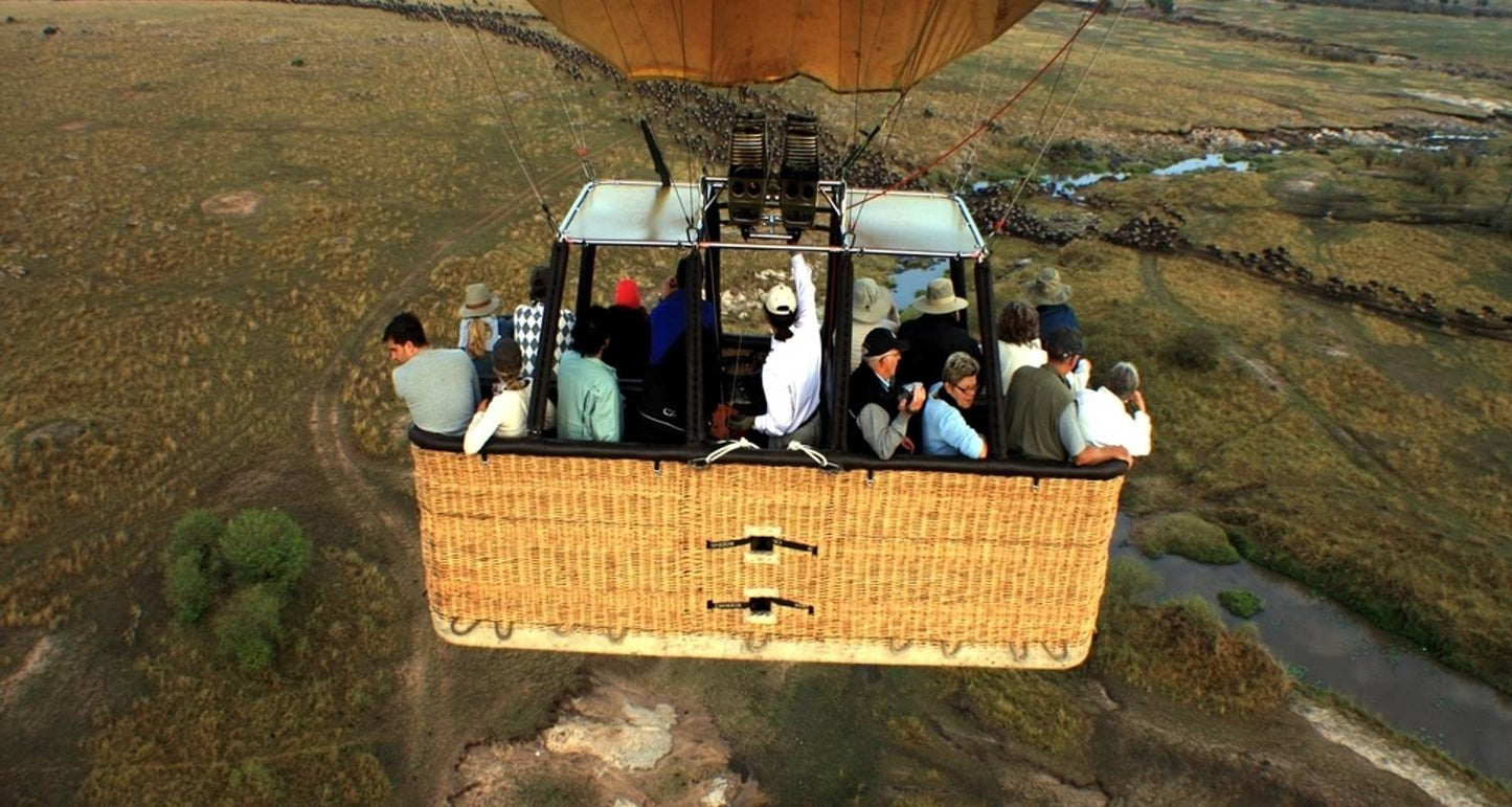 Kenya's Wilderness: A 7-Day Safari Adventure