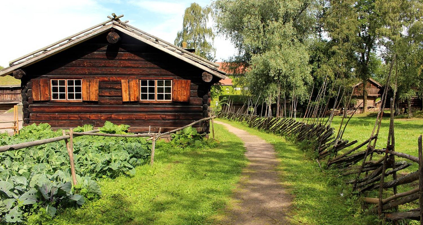 6 Day Norway: Oslo And Bergen By Train