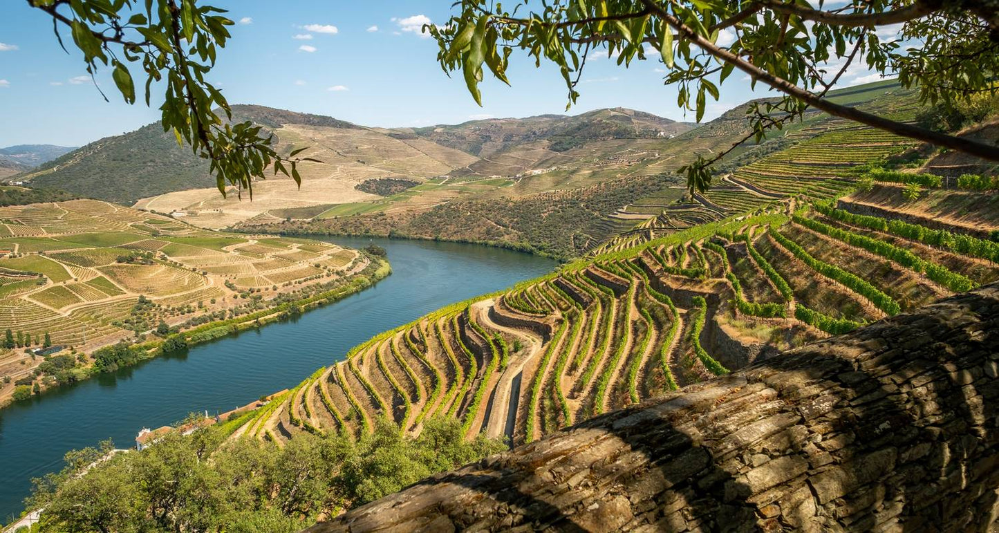 Portugal: Lisbon, All-inclusive Algarve w/Douro valley cruise