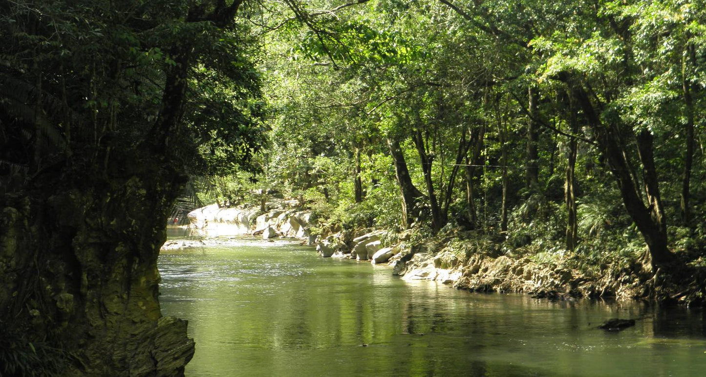 7 Days Rainbow Waters & City Lights - Colombia’s Wonders