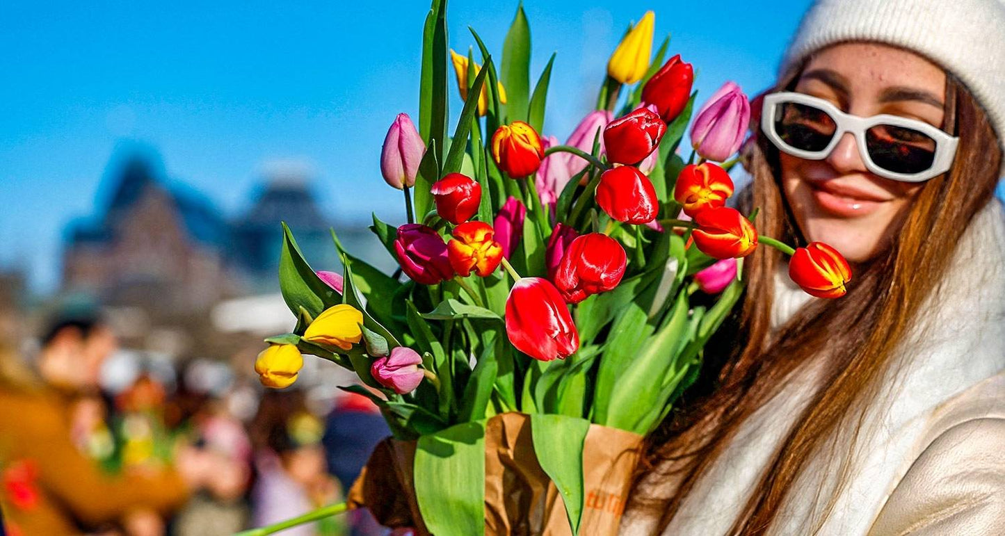 Tailor-made 6-Day Best of Holland Tour