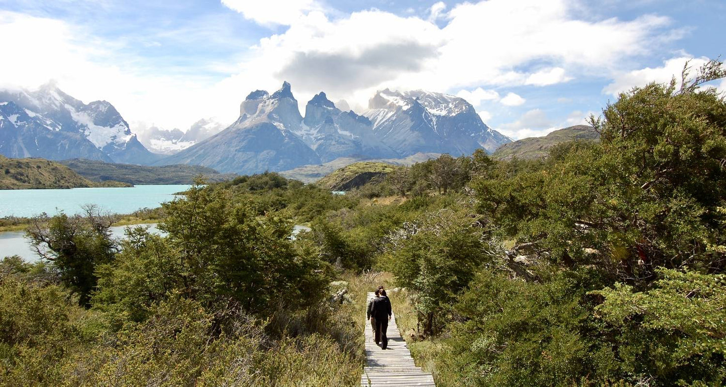Essential Patagonia