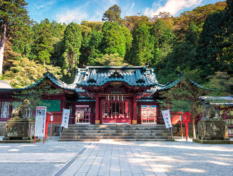 Japan: Sakura Honeymoon