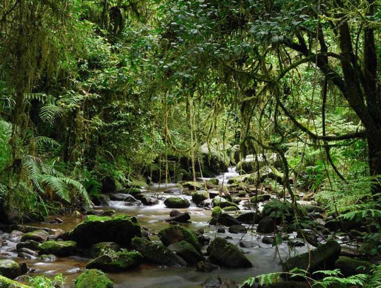 Madagascar: Island Heritage Embrace