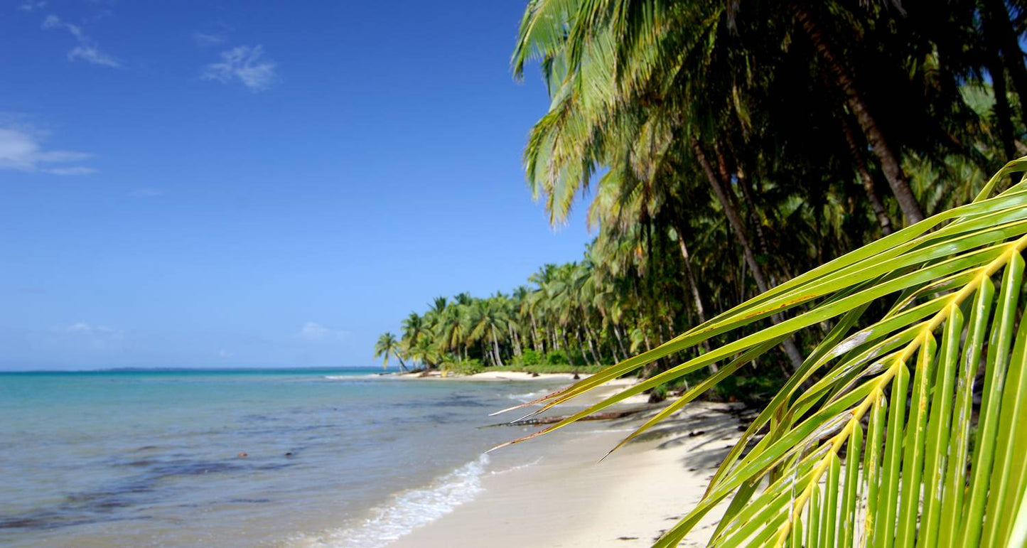 Panama Highlights: City, Highlands, and Island Escapes