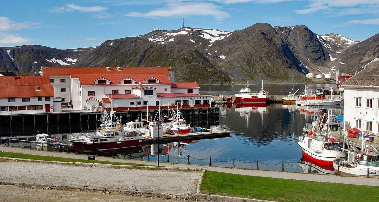 Norway Fjords and Northern Lights (From November 2025)