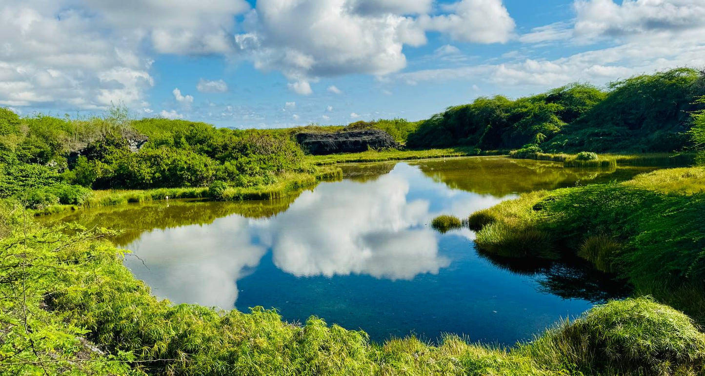 Galápagos Multisport