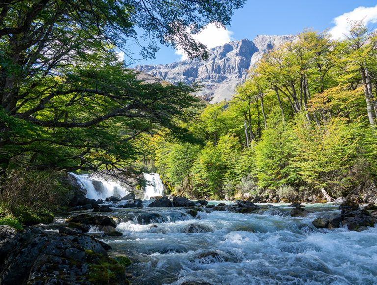Argentina and Chile: Ultimate Patagonia