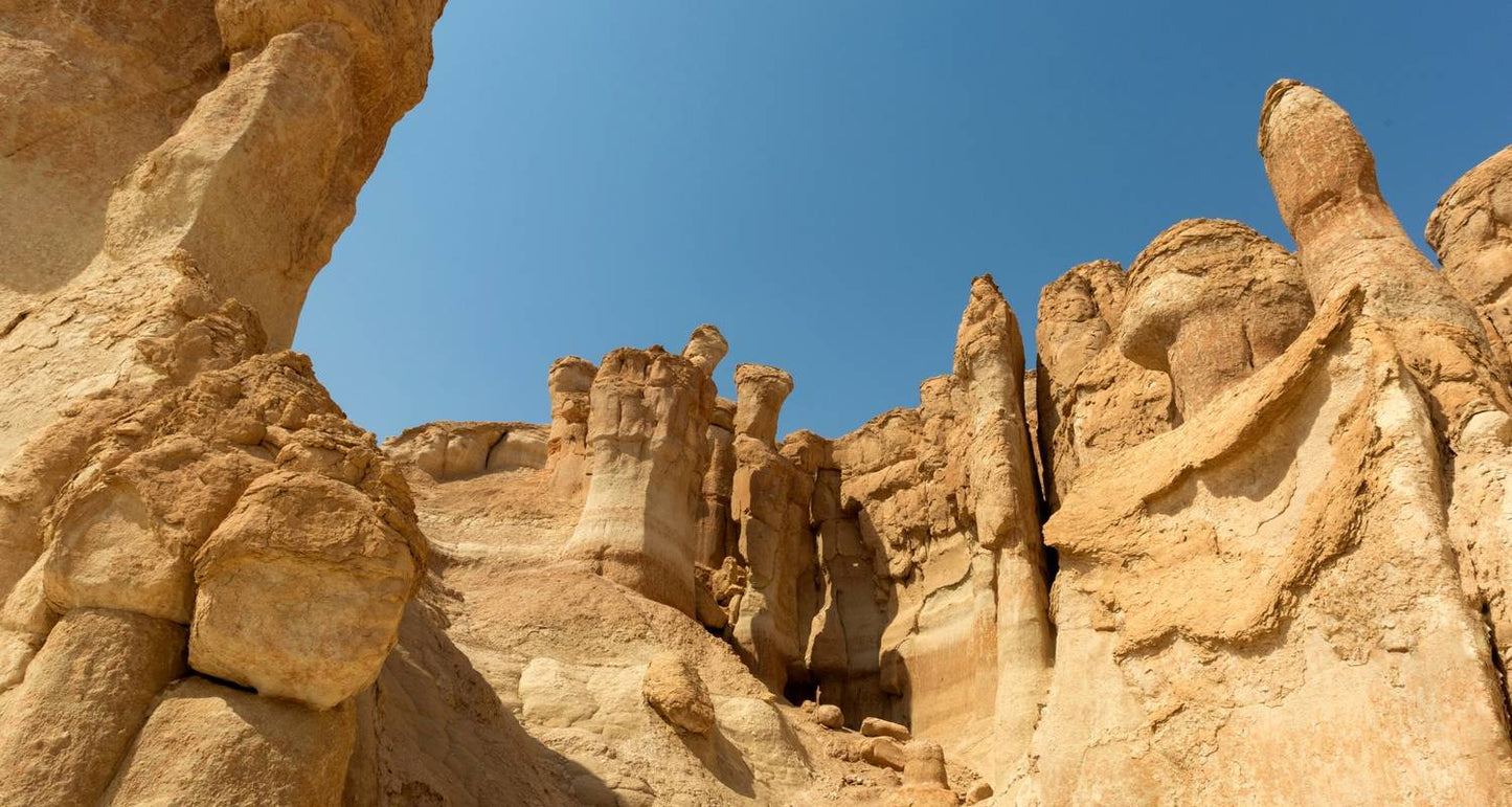 Arabian Classics and Persian Gulf Treasures in Abu Dhabi