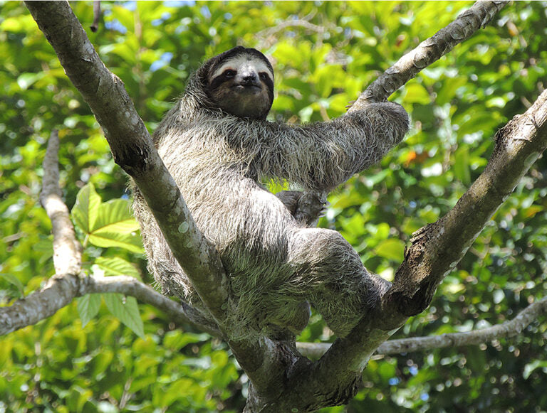 Panama: Family Adventure