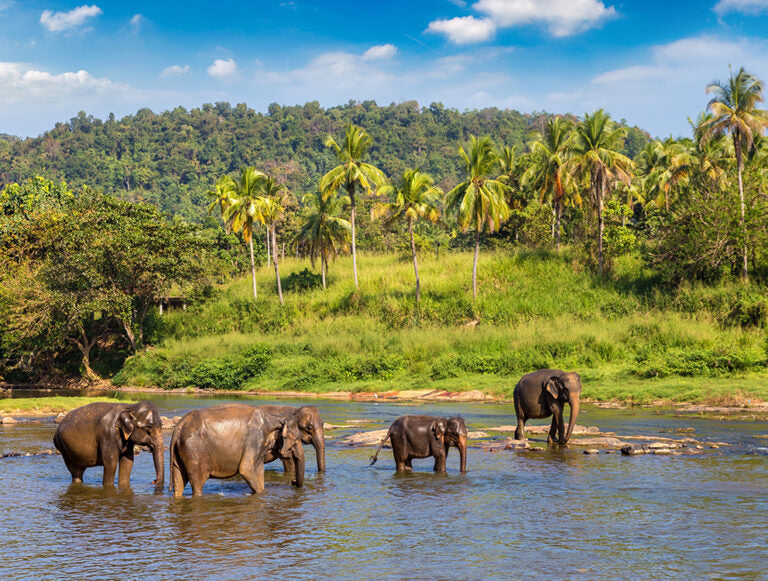 Sri Lanka: Sacred Landscapes