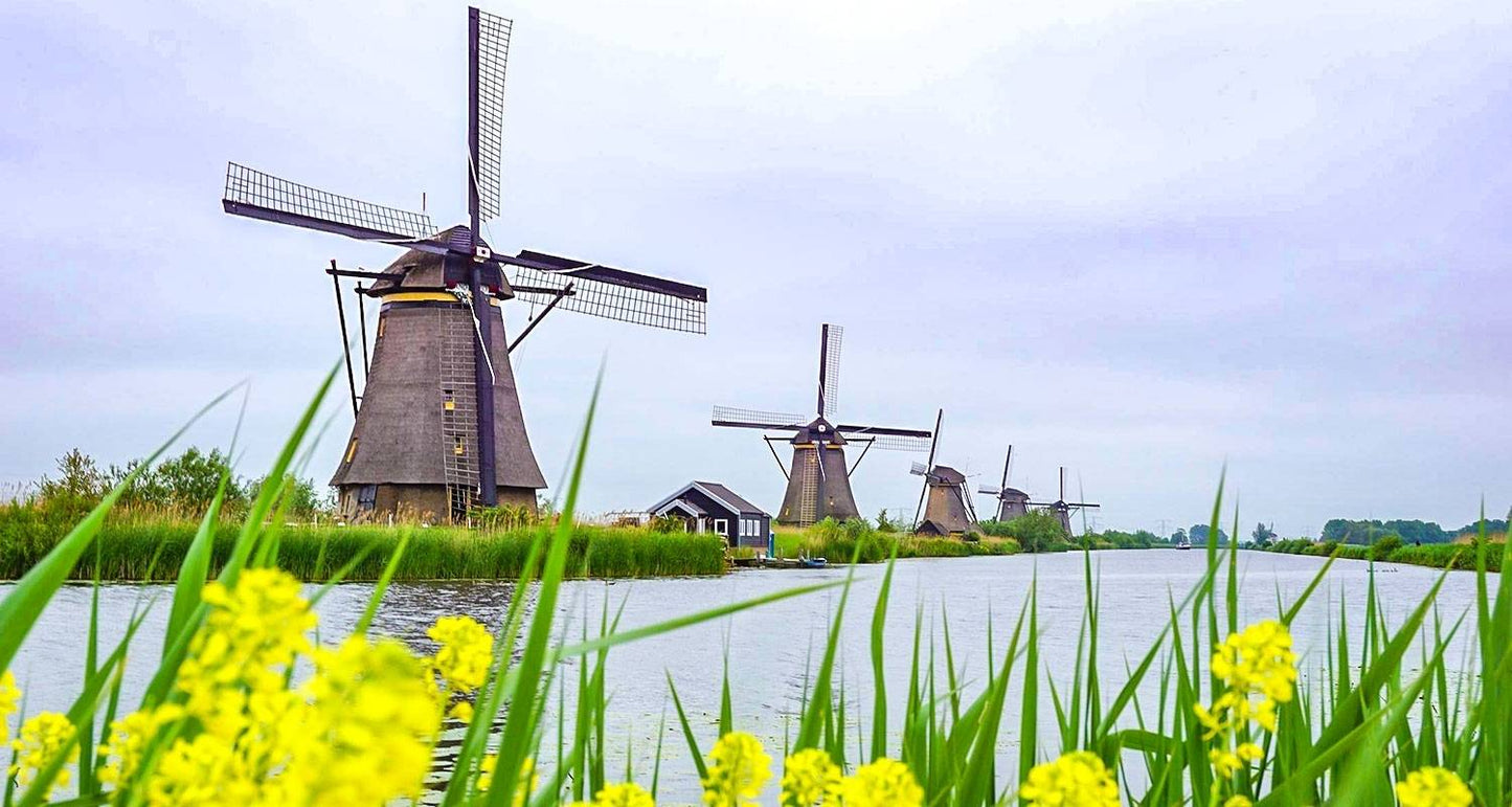 Tailor-made 6-Day Best of Holland Tour