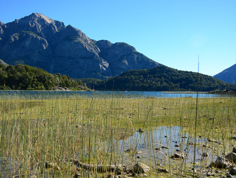 Argentina: Culture, Mountains, Nature, and Wine Country