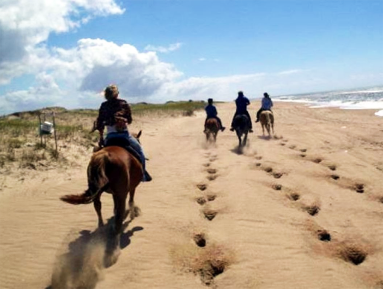 Panama: Wildlife, Waves, and Wilderness