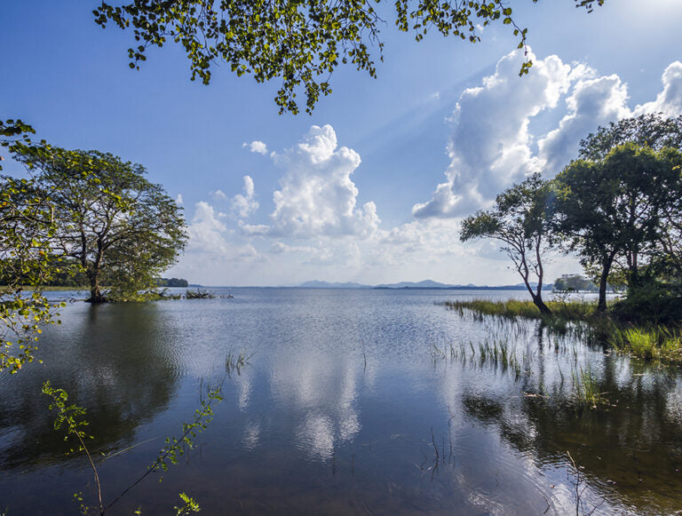 Sri Lanka: Wildlife Adventure
