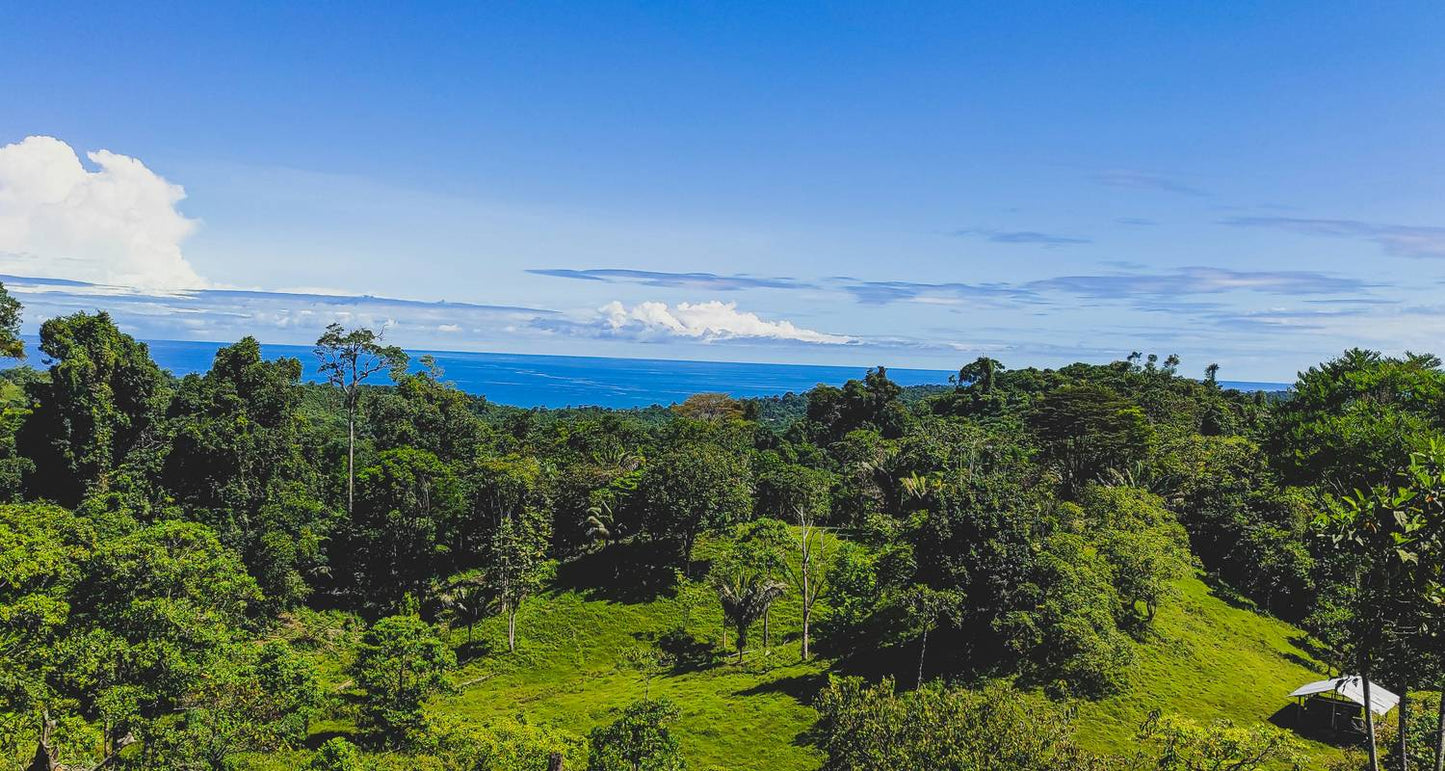 Panama City, Beaches & Mountains 8 Days Tour